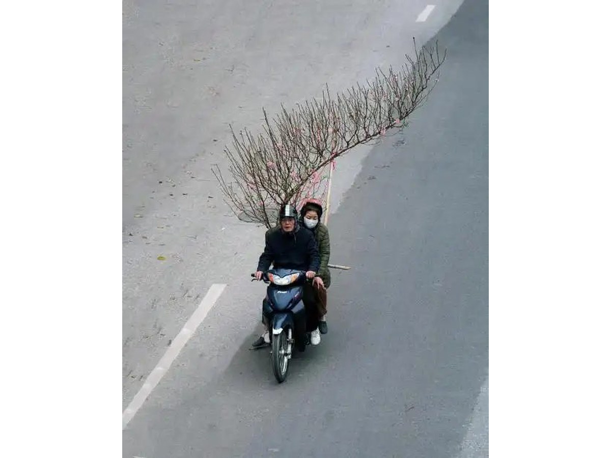 摄影师抓拍瞬间