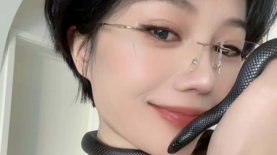 女歌手 丹丹
