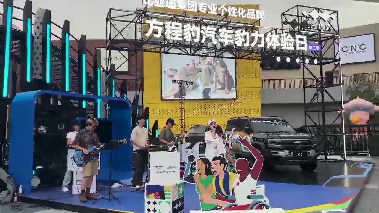 失控猫乐队