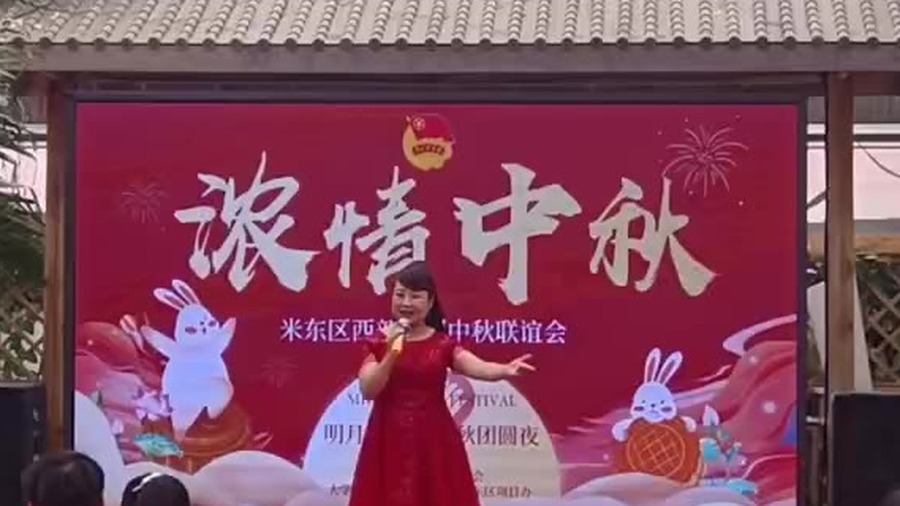红梅张晓丽 女歌手 非遗花儿传承人