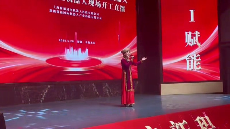 阿仙古丽 - 乌鲁木齐企业峰会千人会场舞台