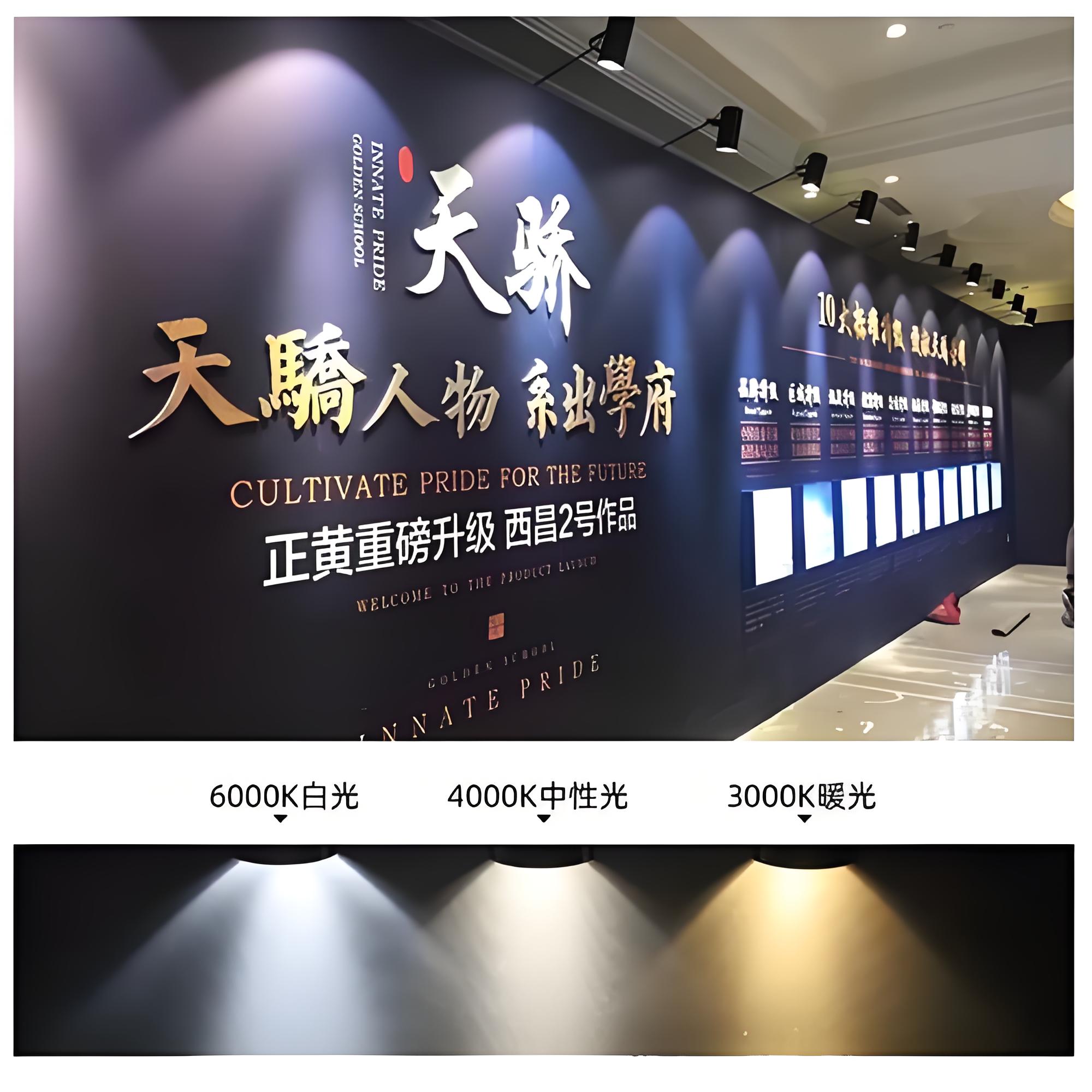 产品图片4