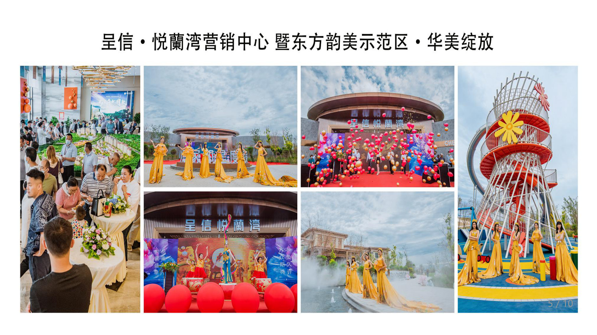 杨梦鸽 作品集 5
