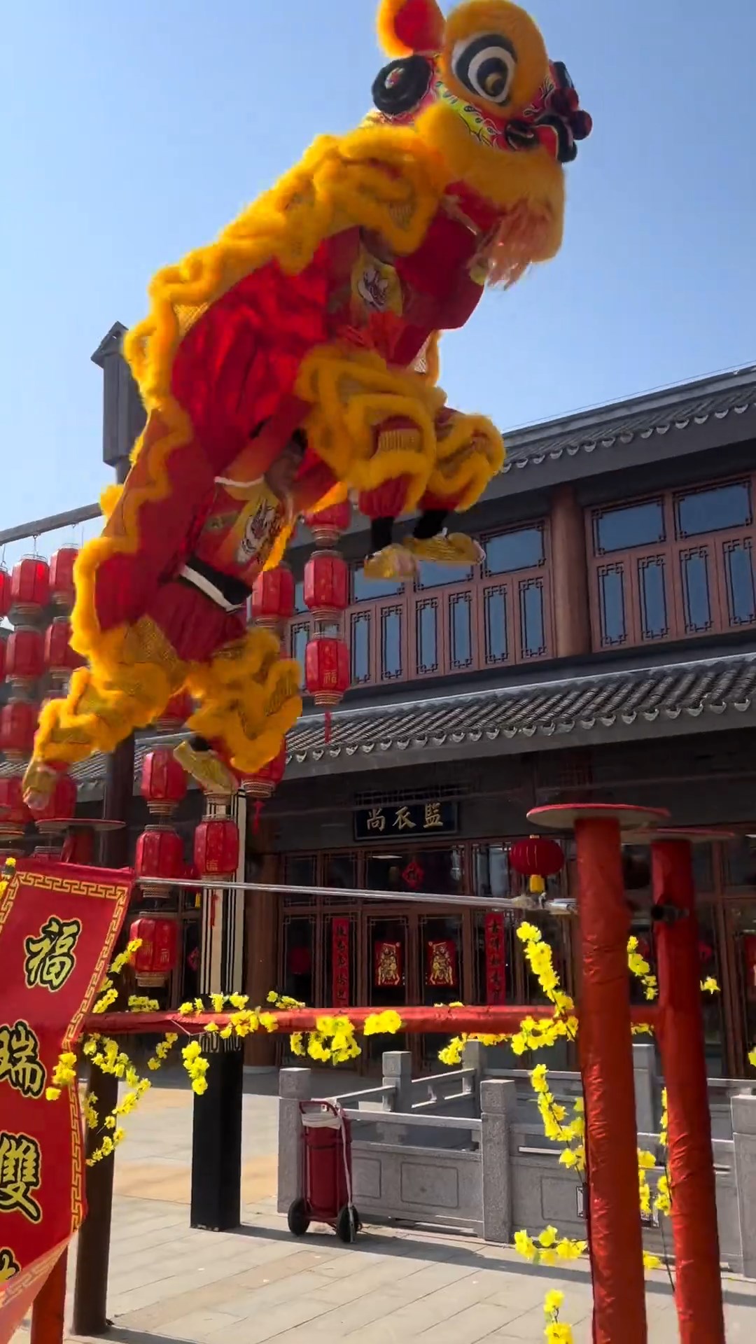 大型舞狮梅花桩表演