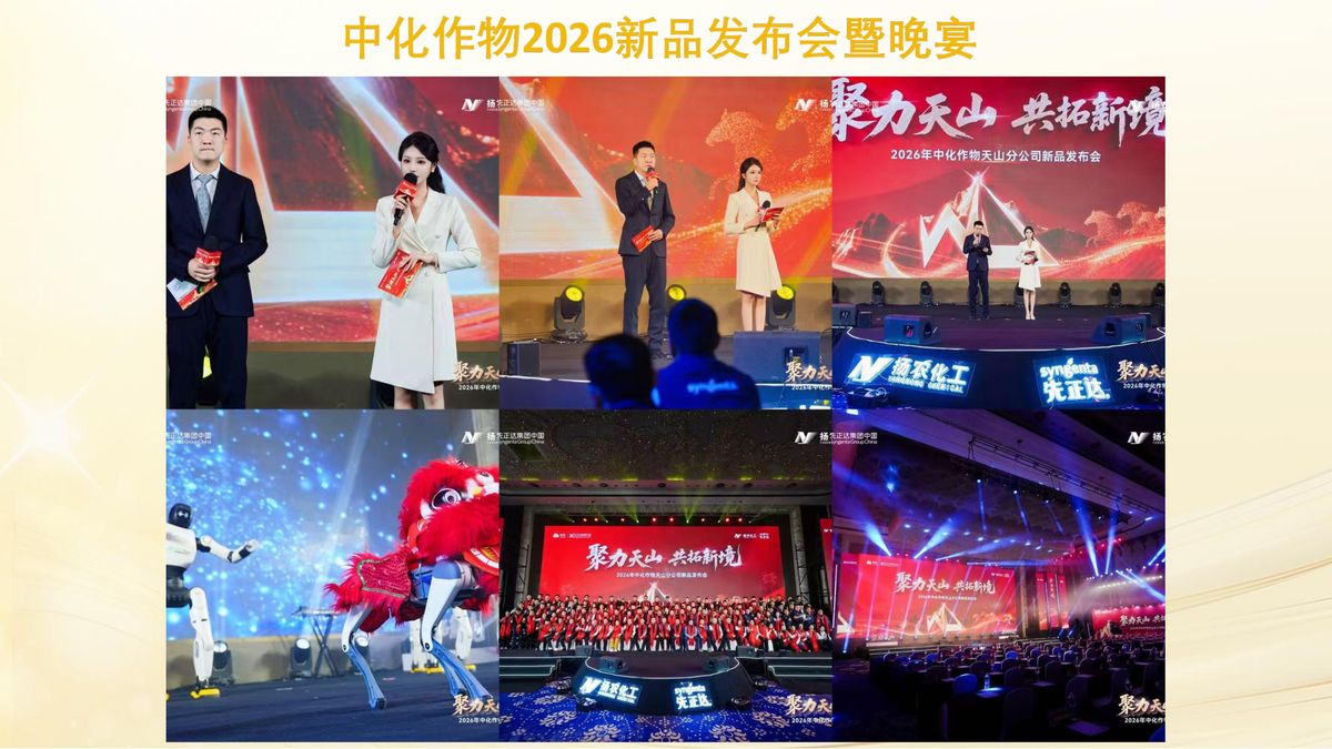 图文资料